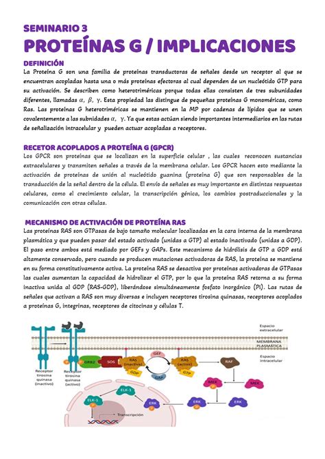 yuojz|YUOJZ Significado De .